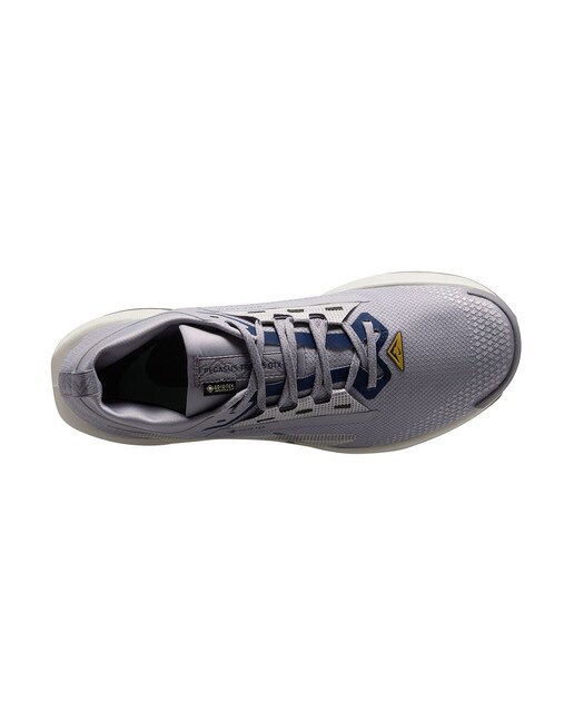 Sapatilhas de Trail Running de Homem Pegasus Trail 5 Gore-Tex Cinzento-2