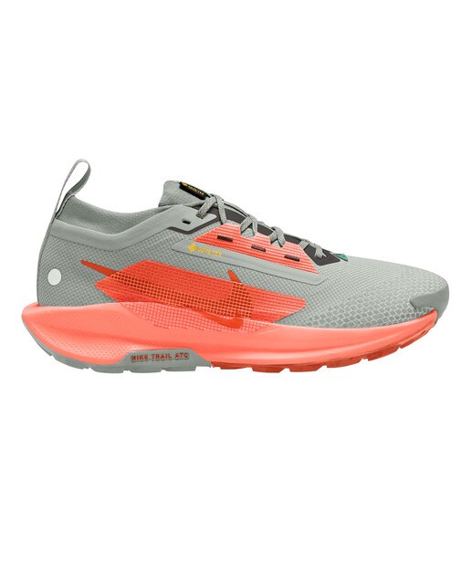 Sapatilhas de Trail Running de Homem Pegasus Trail 5 Gore-Tex Cinzento / Laranja-1