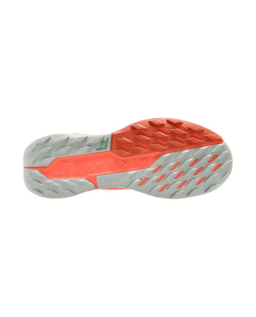 Sapatilhas de Trail Running de Homem Pegasus Trail 5 Gore-Tex Cinzento / Laranja-3