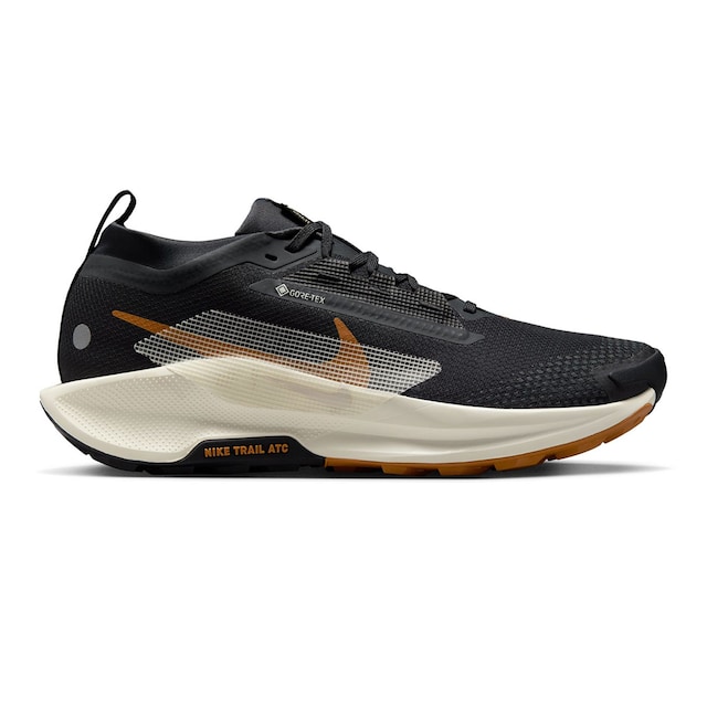 Zapatillas de trail de hombre Nike Pegasus Trail 5 GORE-TEX Nike