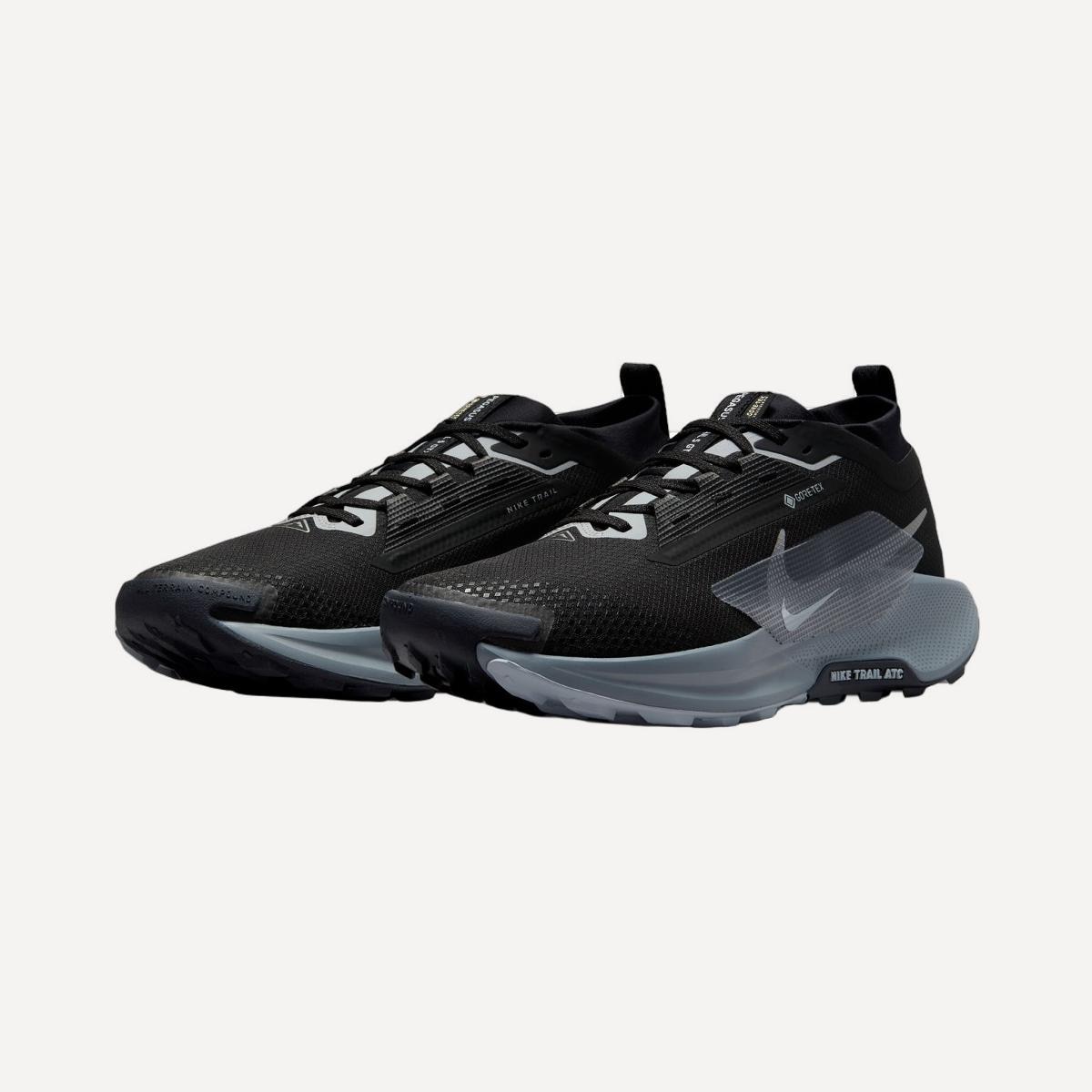 Sapatilhas de Trail Running de Homem Pegasus Trail 5 GTX Preto-13