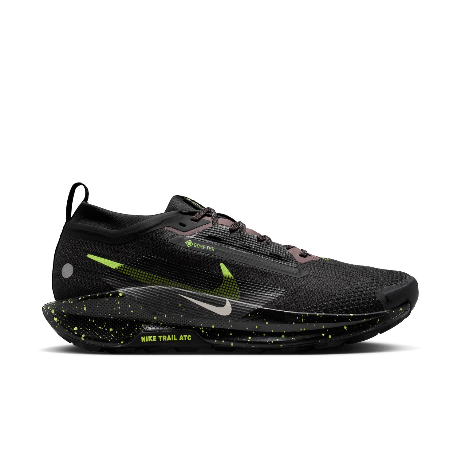 Sapatilhas de Trail - Running de Homem Pegasus Trail 5 GTX Preto-1