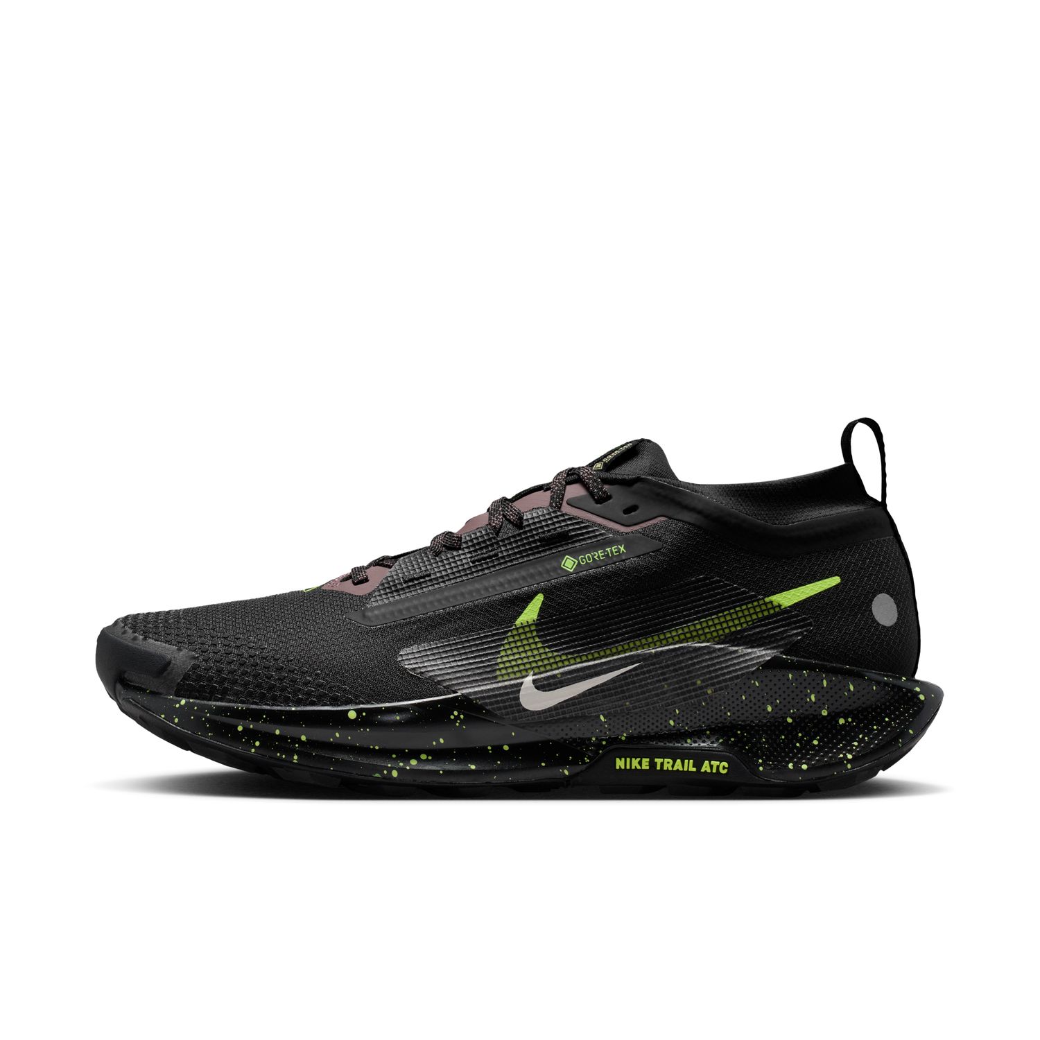 Sapatilhas de Trail - Running de Homem Pegasus Trail 5 GTX Preto-5