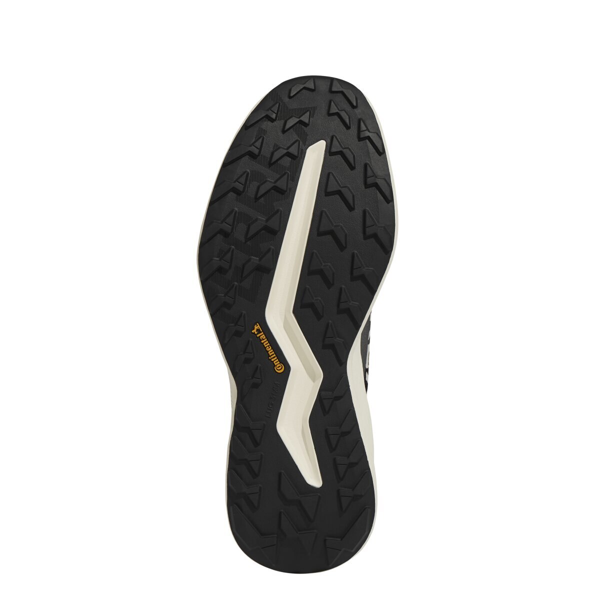 Sapatilhas de Homem Terrex Agravic LT Preto-4