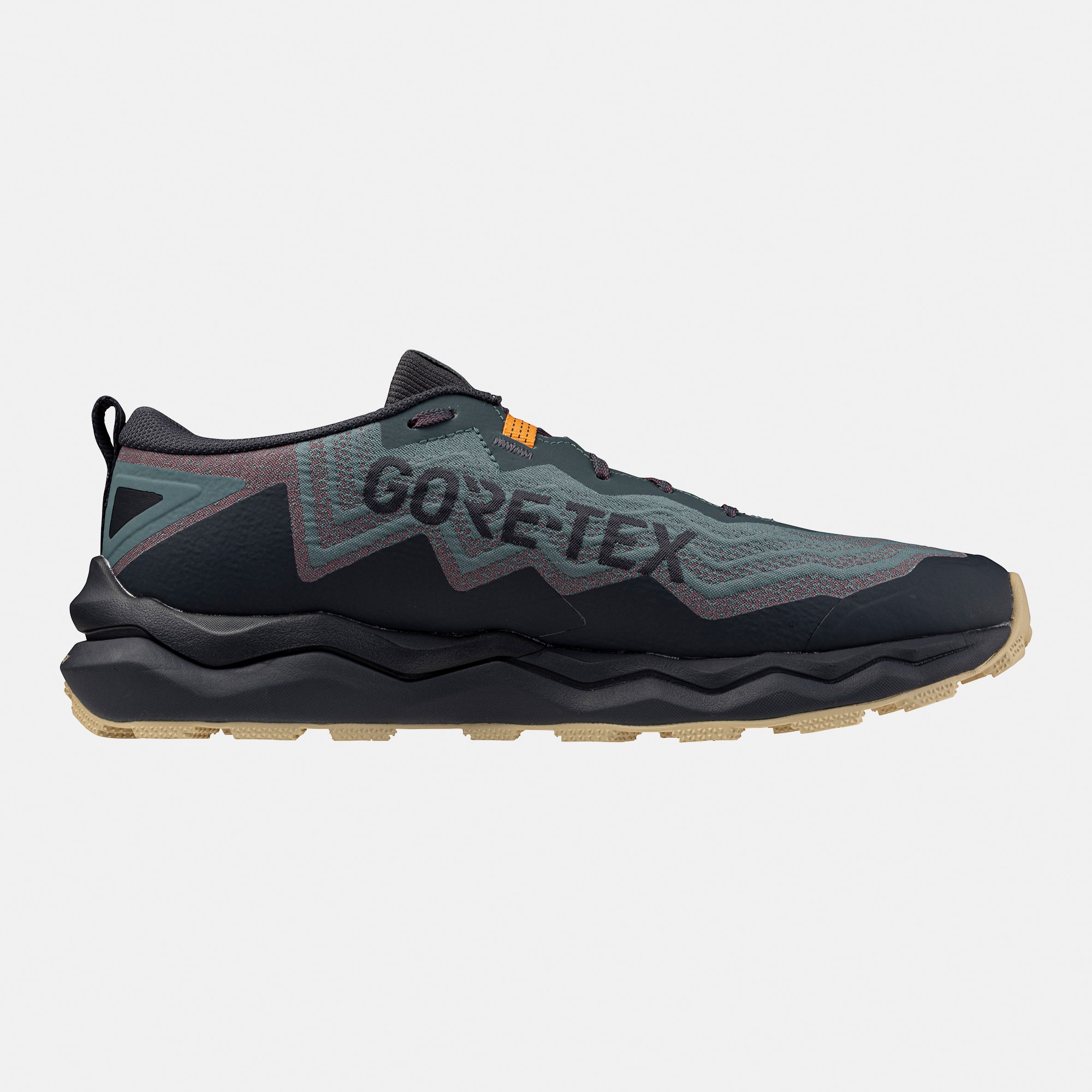 Zapatillas deportivas de Running de Hombre WAVE DAICHI 9 GTX