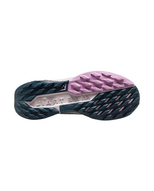 Sapatilhas de Trail Running de Mulher Pegasus Trail 5 Gtx Azul-marinho-3