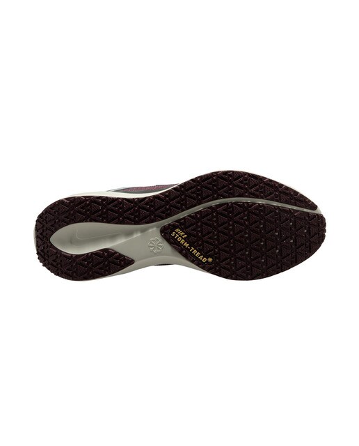 Sapatilhas de Running de Homem Pegasus 41 Gore-Tex Cinzento / Preto-3