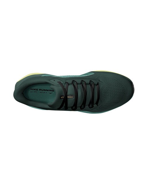 Sapatilhas de Running de Homem Pegasus 41 Verde-escuro-2