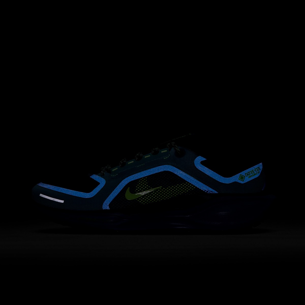 Sapatilhas de Running de Homem Air ZM Pegasus 41 GTX Preto-5