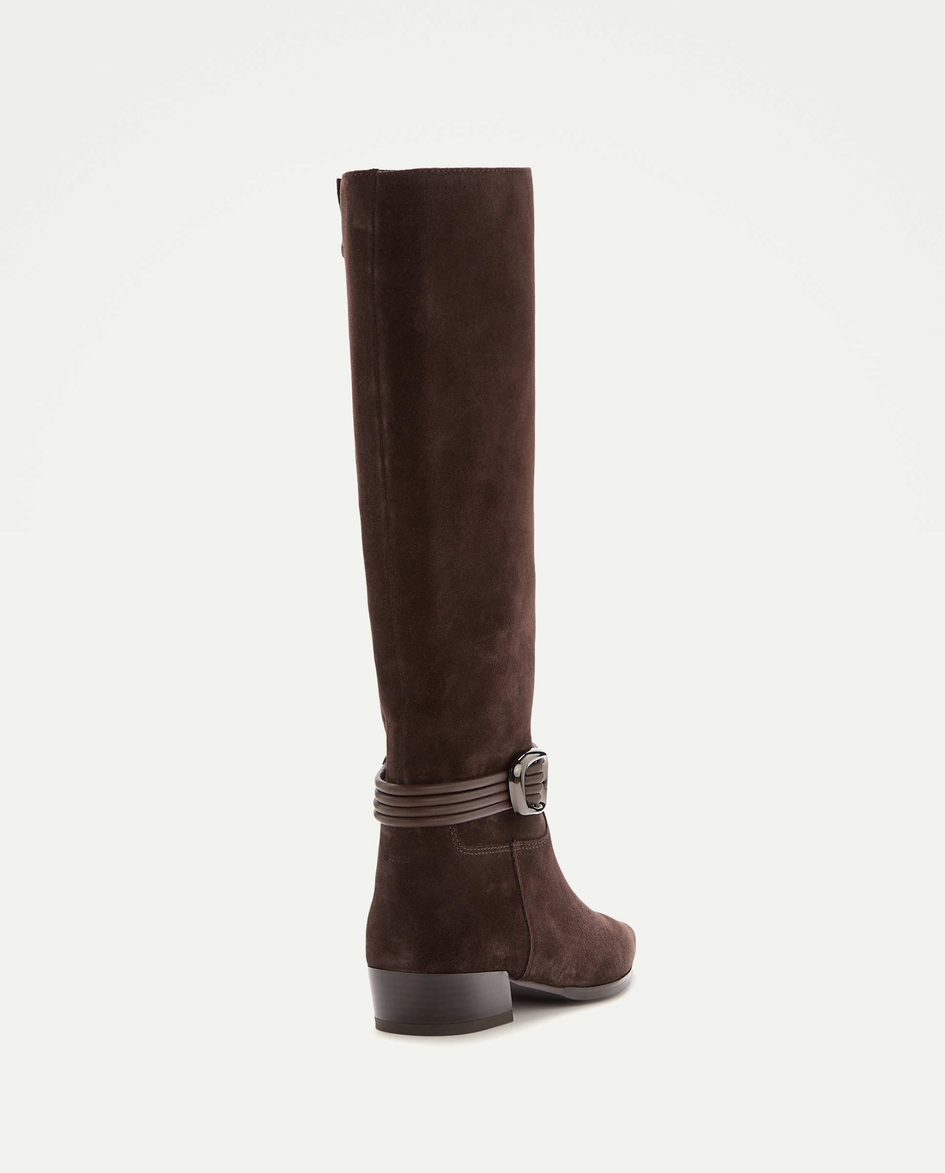 Bota tacón, gaucha adorno - Latouche - Negro Negro-3