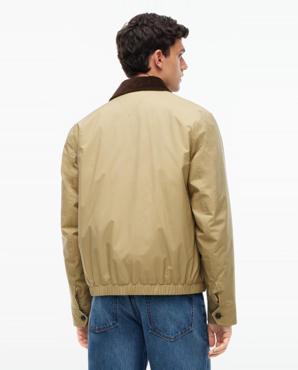 Cazadora acolchada de caballero lisa - Tommy Hilfiger - Beige Beige-2
