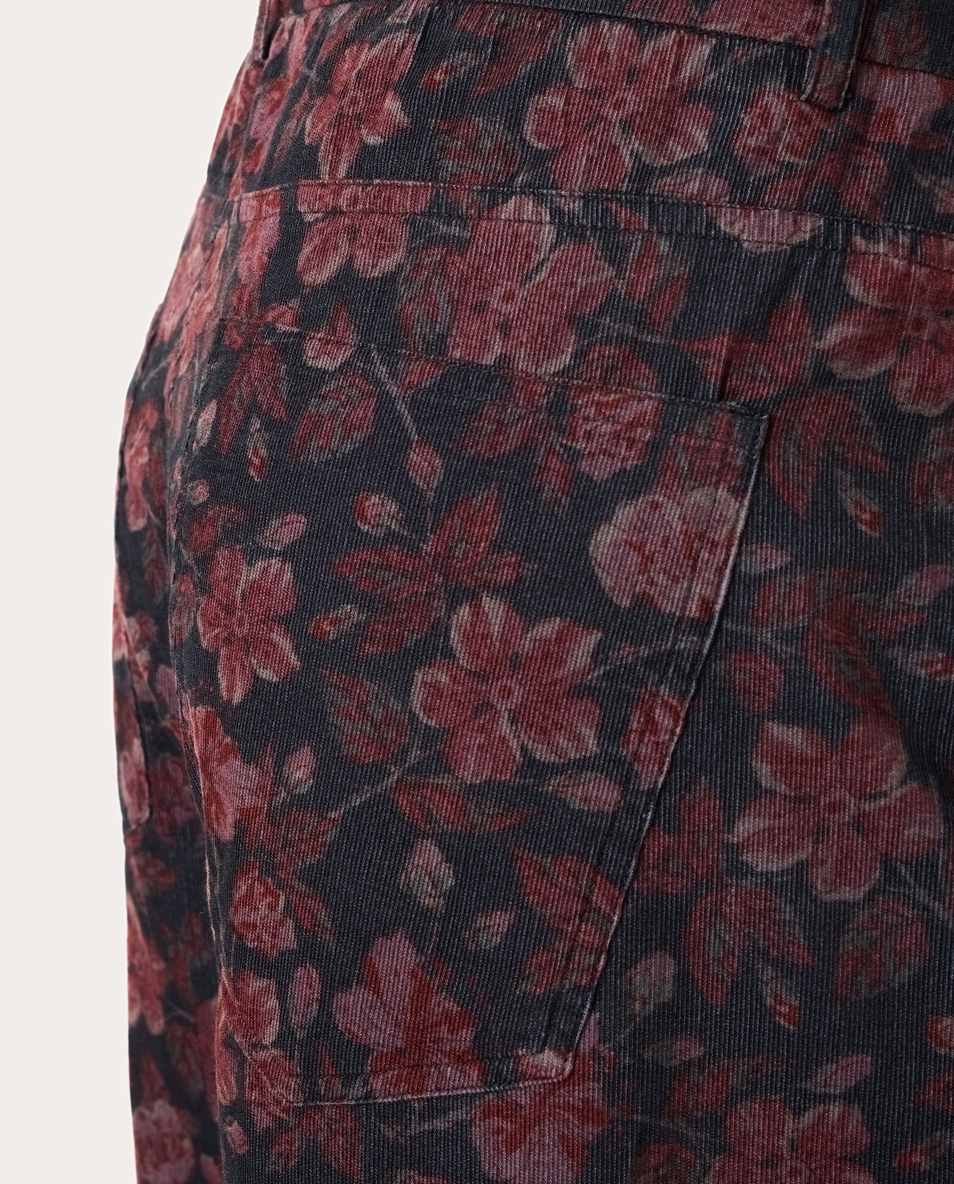 Pantalón Gordon de terciopelo - Rosa Rosa-3