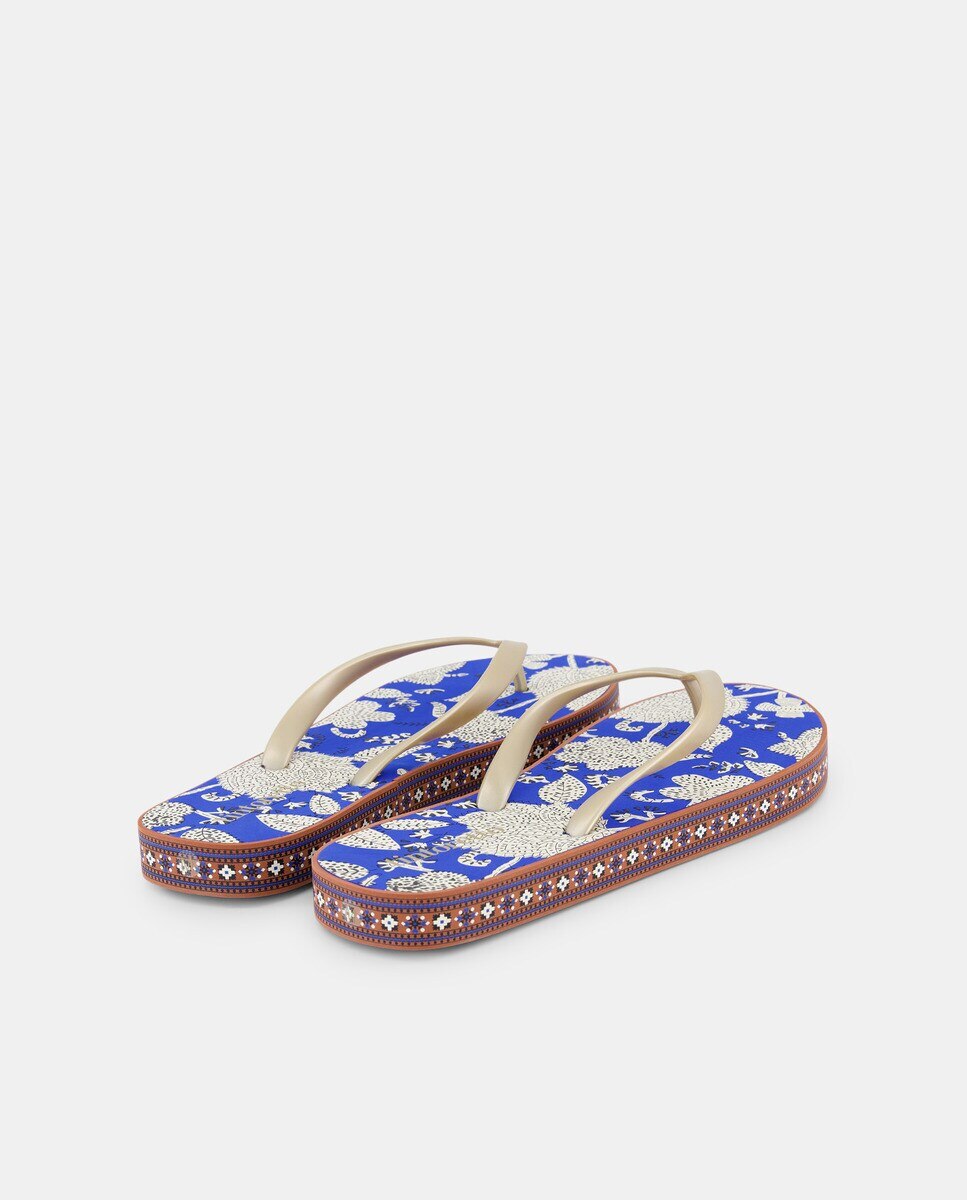 Flip Flops com Estampado 440 Azulão-3