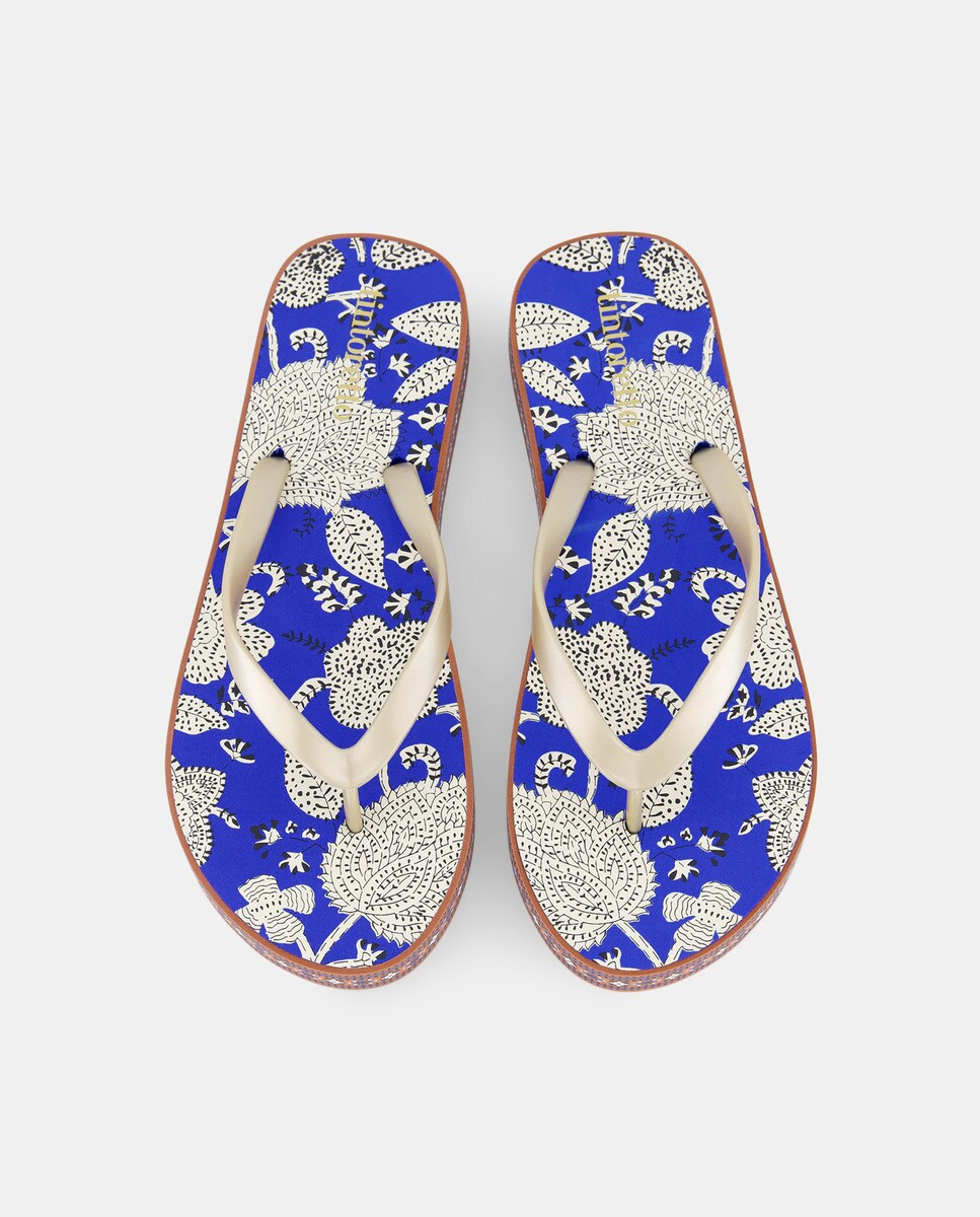 Flip Flops com Estampado 440 Azulão-4