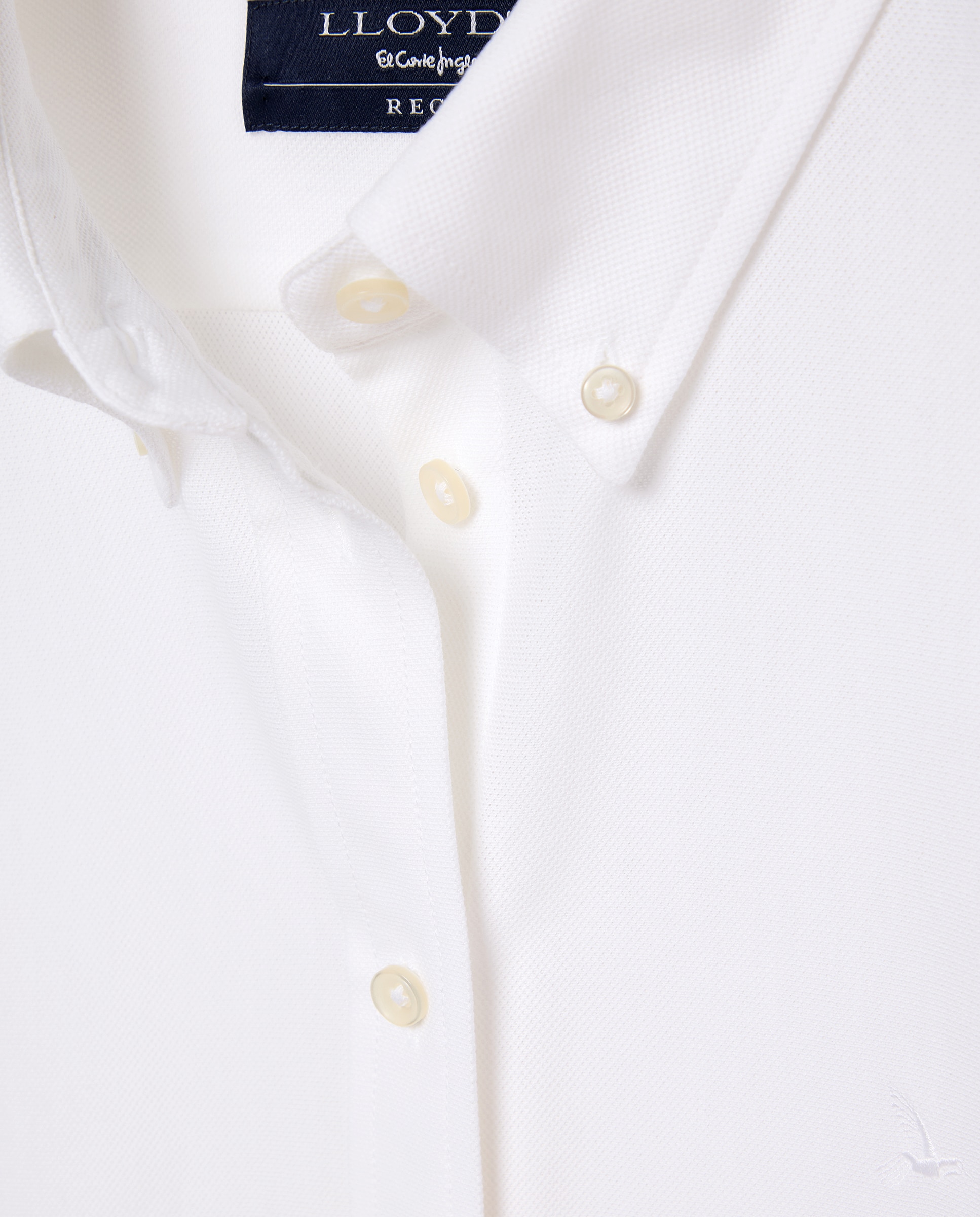 Camisa lisa de manga larga de mujer - Lloyd's - Blanco Blanco-5