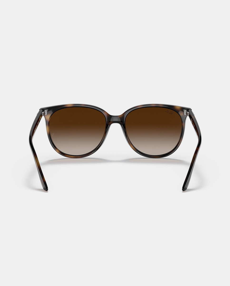 Imagen 6 de Gafas de sol RB4378 de mujer cuadrada en inyectado con lente degradada - Ray-Ban - Marrón Marrón
