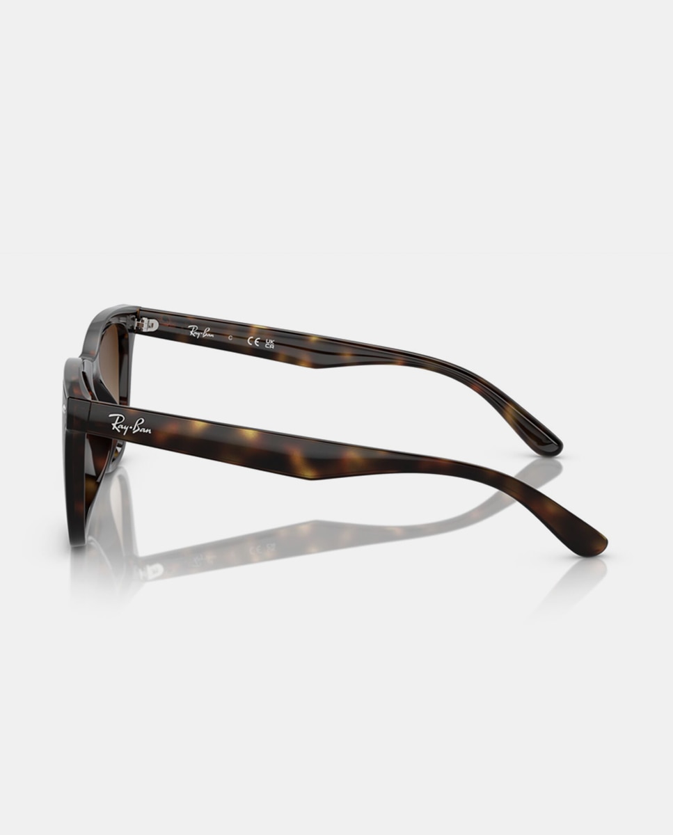 Gafas de sol RB4420 unisex cuadrada en inyectado con lente degradada - Ray-Ban - Marrón Marrón-3
