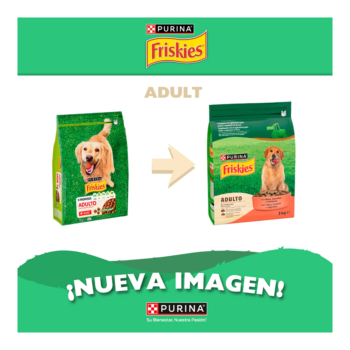 Imagen 3 de Pienso para perros adultos Friskies buey, cereales y verduras