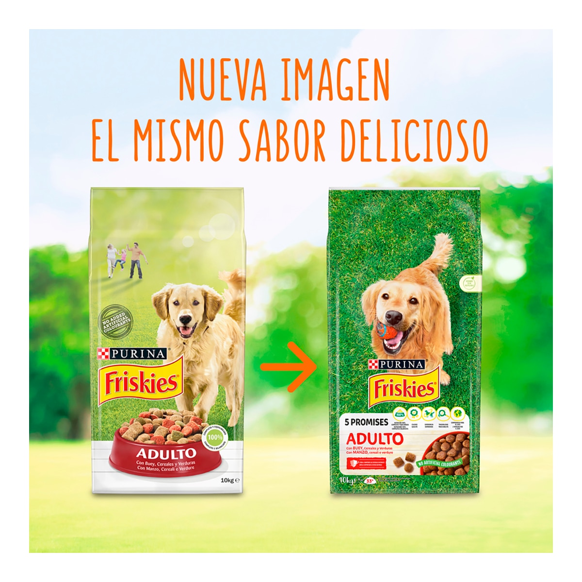 Imagen 2 de Pienso para perros adultos Friskies buey, cereales y verduras