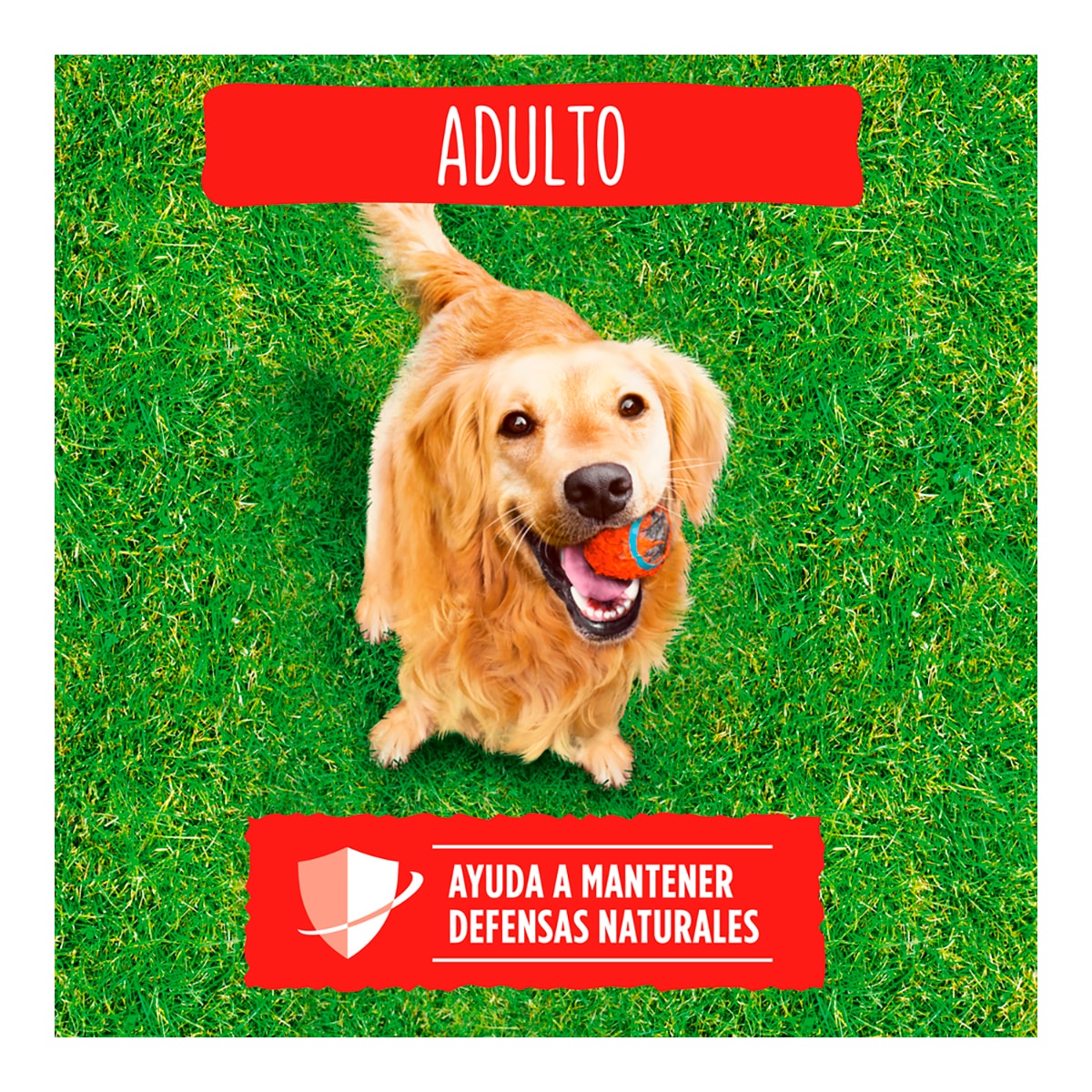 Imagen 3 de Pienso para perros adultos Friskies buey, cereales y verduras