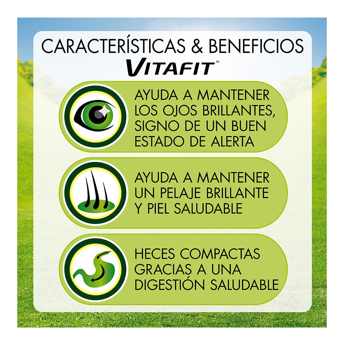 Comida húmeda para perros adultos Purina Friskies Vitafit pack pollo, cordero y buey en salsa 12 x 100 g 3