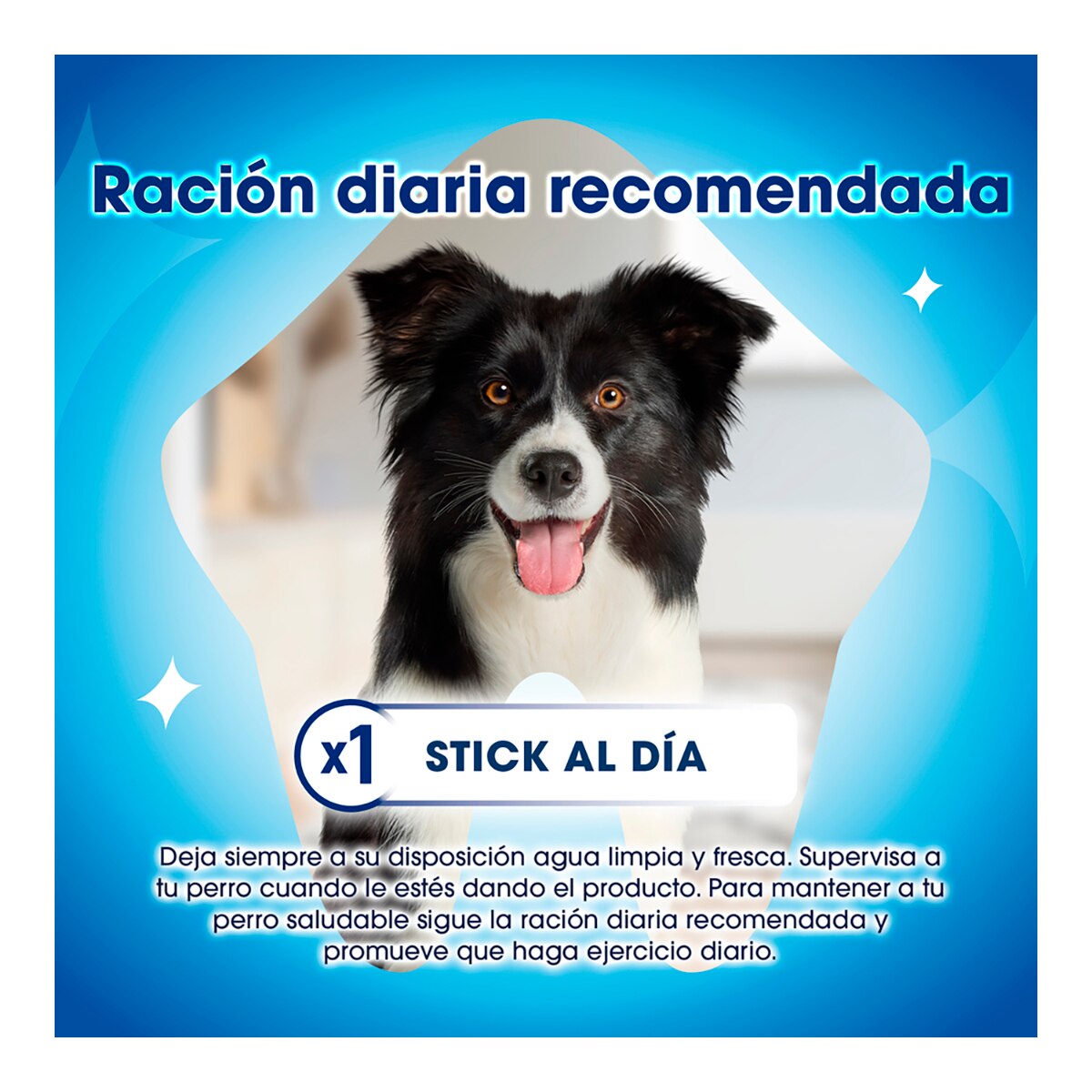 DENTALIFE snack dental para perros tamaño mediano 5 unidades 28 g 5