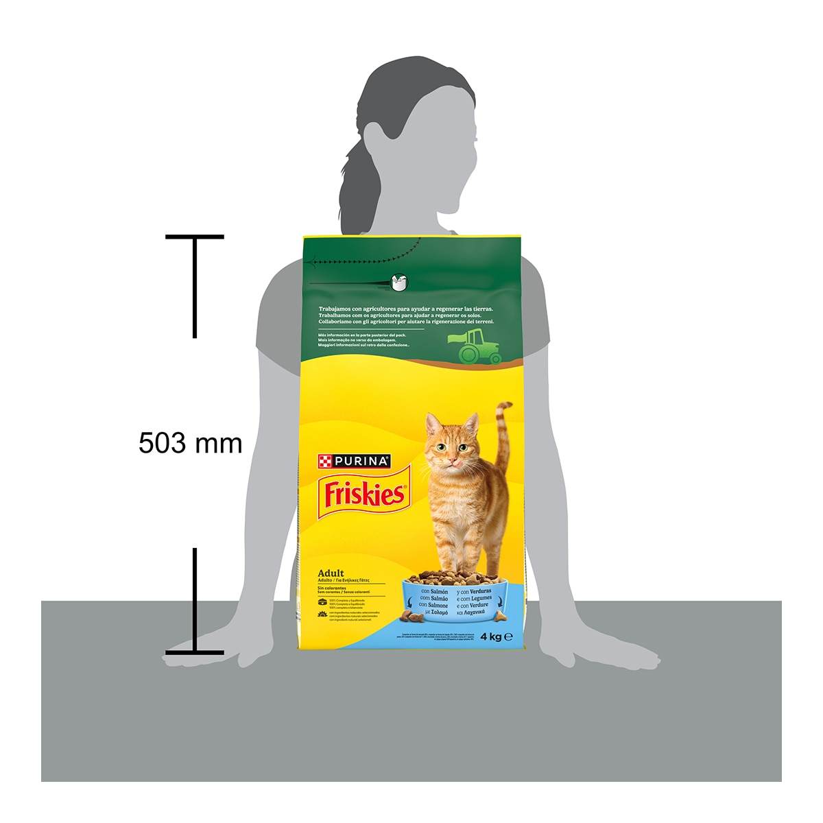 Pienso para gatos adultos Friskies salmón 4 Kg 6