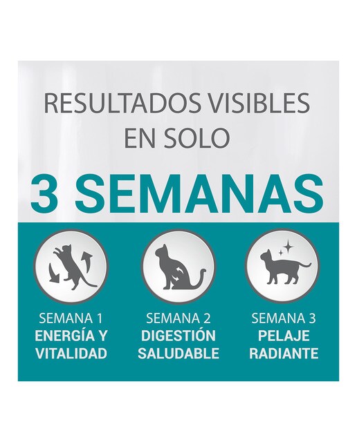 Pienso para gatos adultos esterilizados Purina One Bifensis pollo y trigo 2,8 kg 5