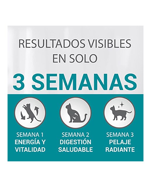 Pienso para gatos adultos Purina One Bifensis digestión sensible pavo y arroz 5