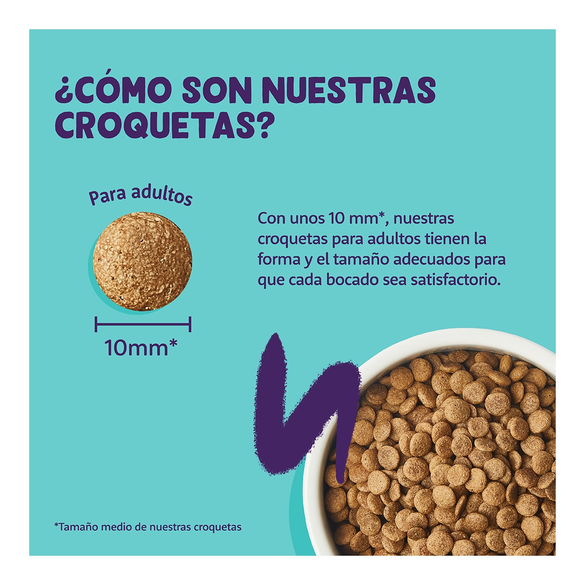 Pienso para gatos adultos Edgard & Cooper pollo sin cereales 4