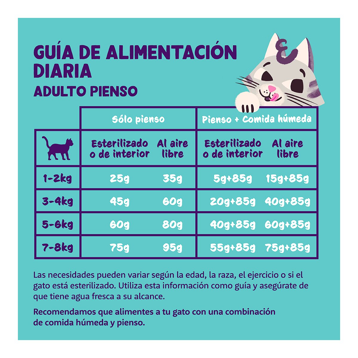 Pienso para gatos adultos Edgard & Cooper salmón sin cereales 2