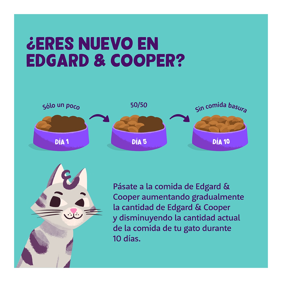 Pienso para gatos adultos Edgard & Cooper salmón sin cereales 3