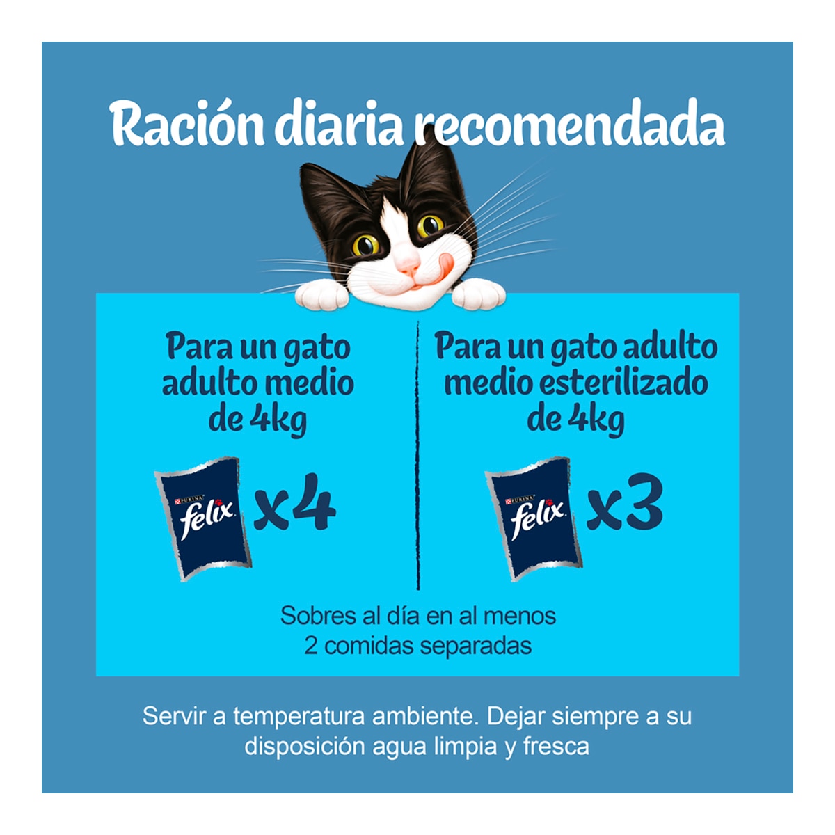 Comida húmeda para gatos adultos Felix Carnes en Gelatina 3