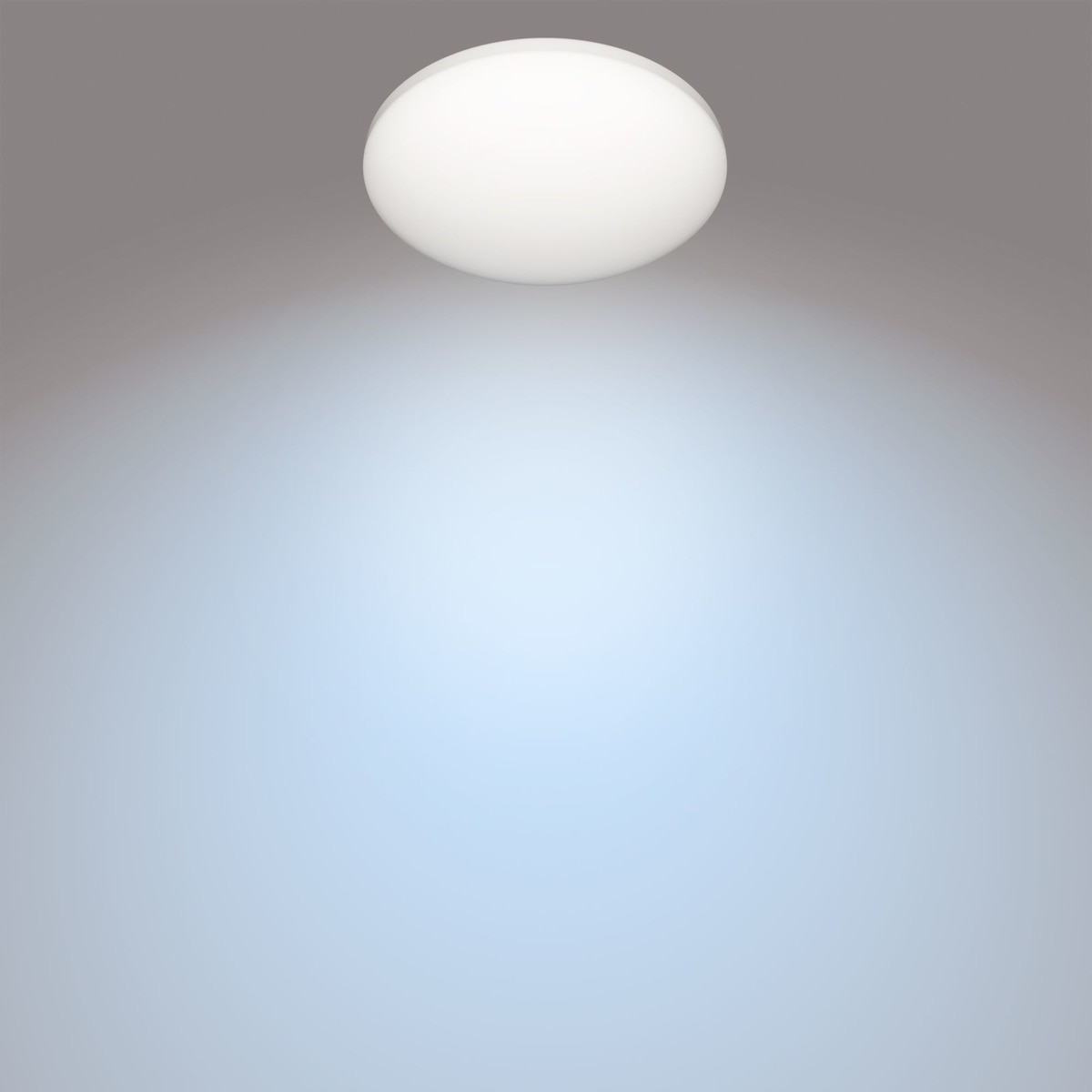 Plafón LED redondo 10 W ZARPY 40K Luz neutra ( >= 3000 K / <= 5000 K )-1
