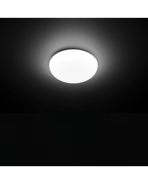 Plafón LED redondo 12 W SHAN 40K Luz neutra ( >= 3000 K / <= 5000 K )-2
