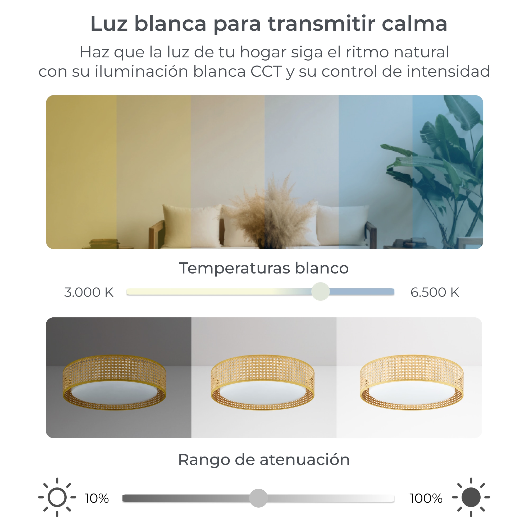 Plafón Inteligente SmartLED con Altavoz Bohemia RGBIC-CCT Ø46 cm 35W 4000 lm Blanco / Amarillo-7