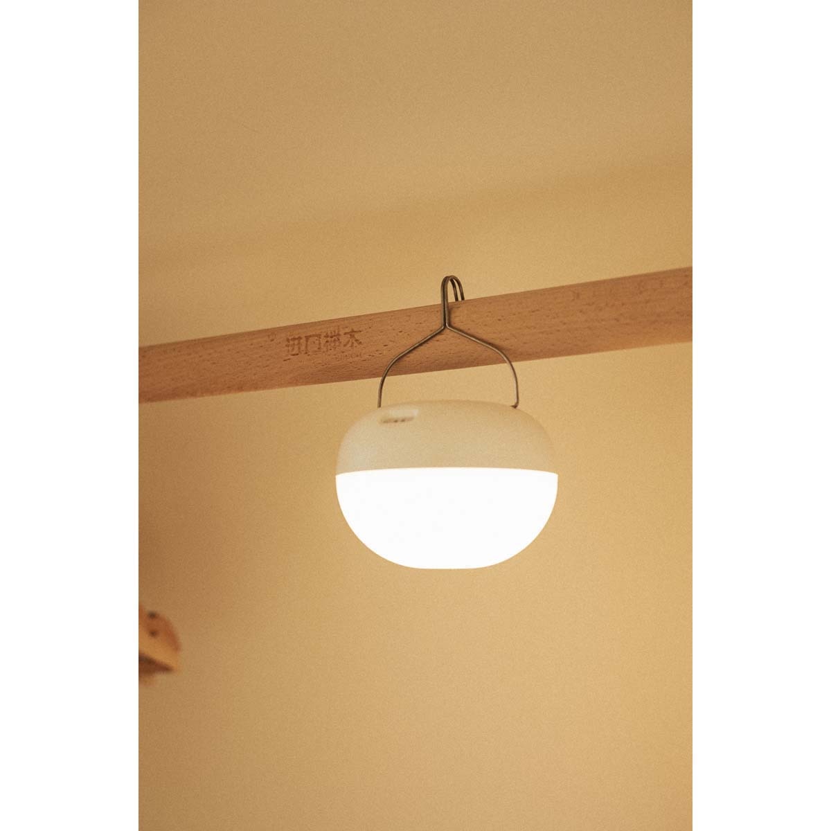 Bombilla Portátil Recargable Flotante Coco 9W Blanco-3