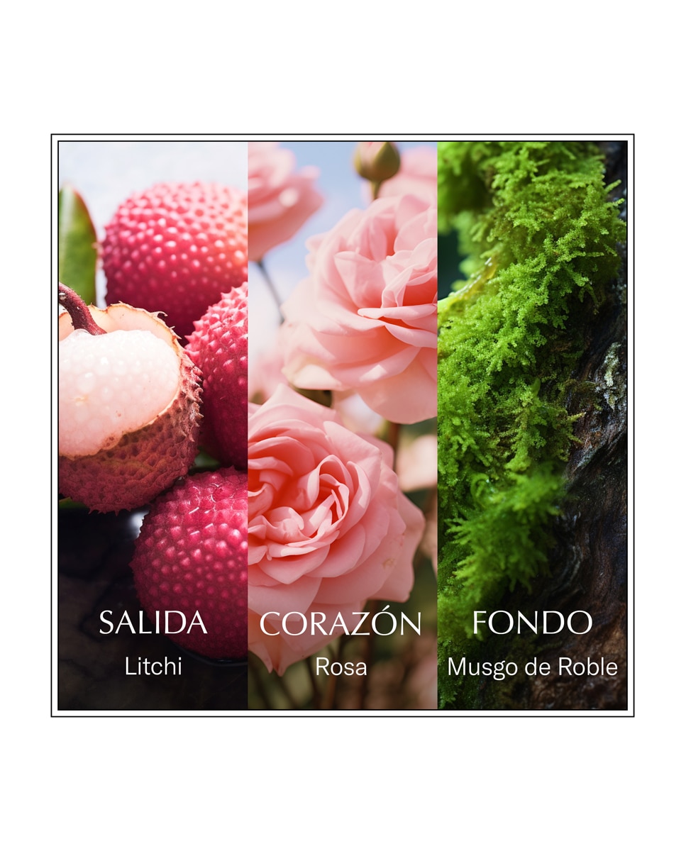 Eau de Toilette Rose-Eau Les Eaux Du Monde 100 ml Chanson d'Eau 3