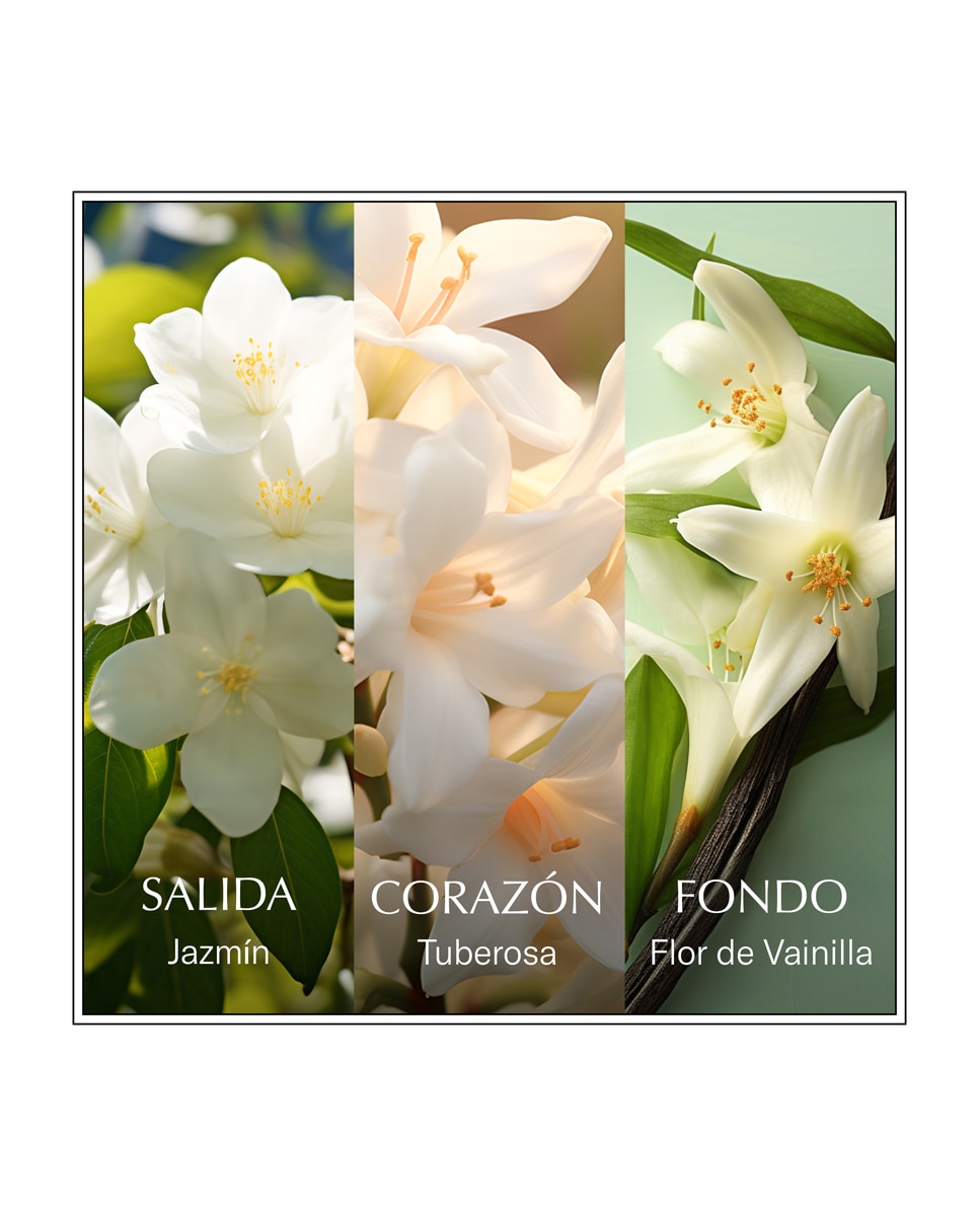 Eau de Toilette Jasmine-Eau Les Eaux Du Monde 100 ml Chanson d'Eau 3