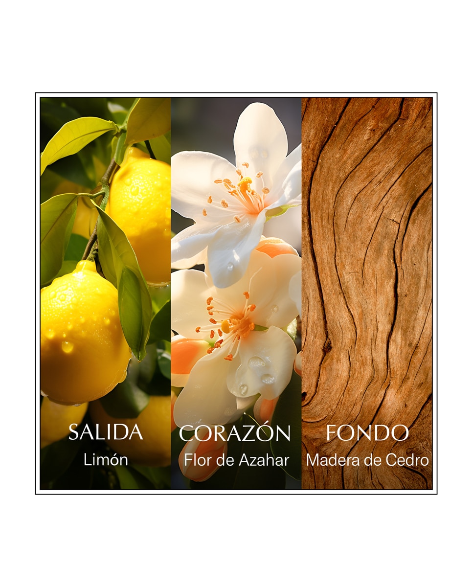 Eau de Toilette Lemon-Eau Les Eaux Du Monde 100 ml Chanson d'Eau 3