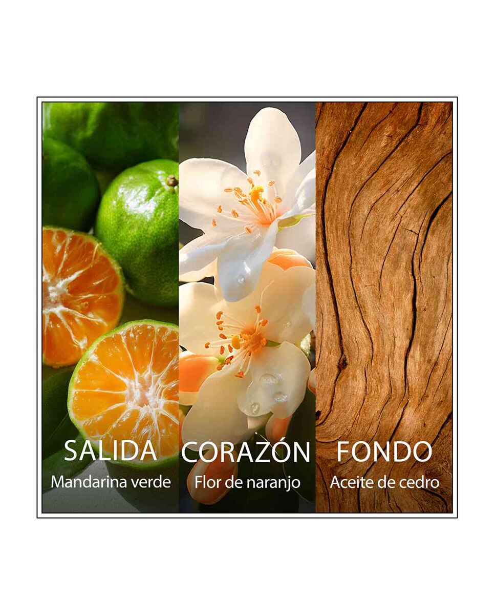 Eau De Toilette Les Eaux Du Monde Nerolí Chanson D'Eau - 100 ml 4