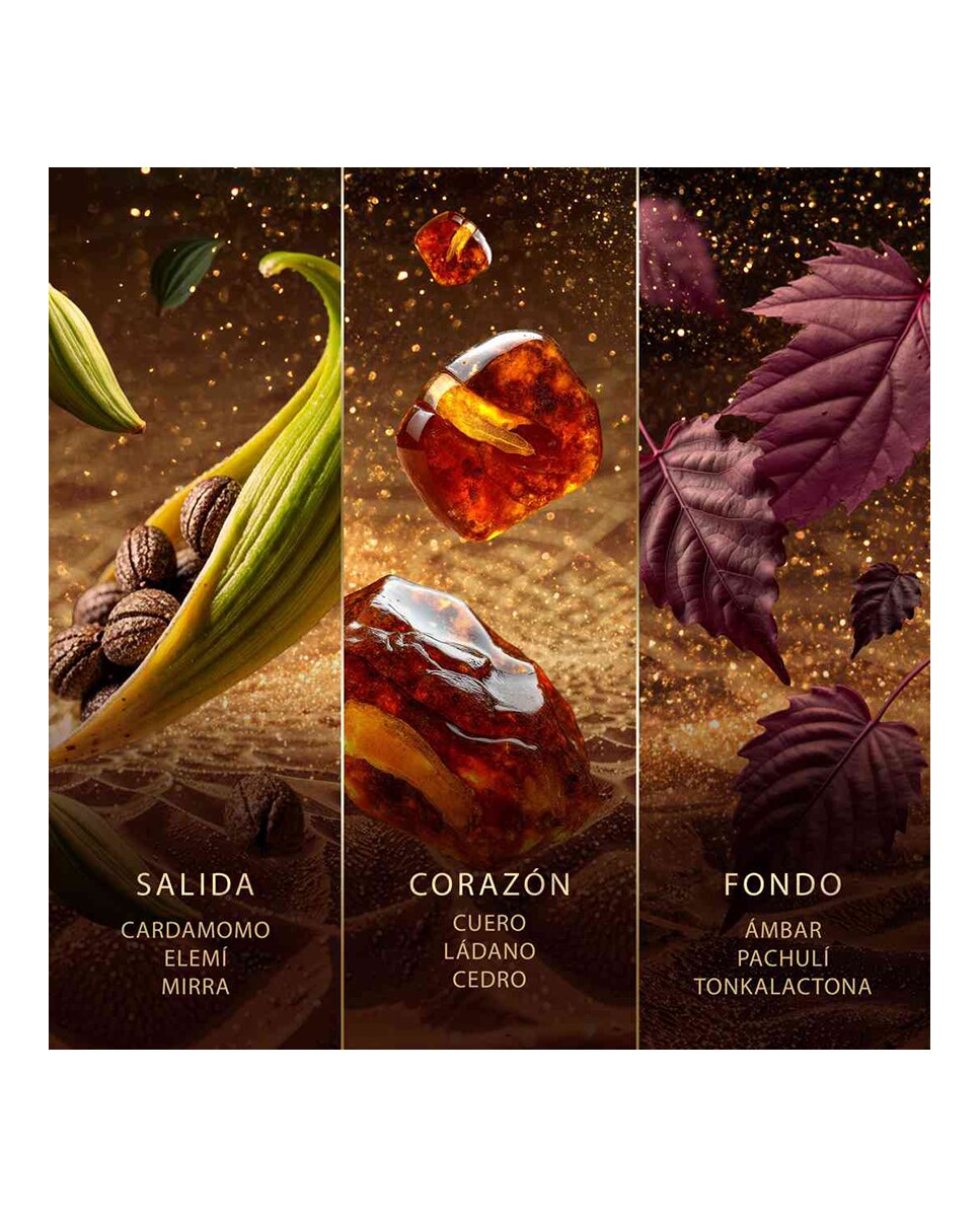 Eau de Parfum Amberwood Nomad 60 Ml Jawhara - 60 ml 6