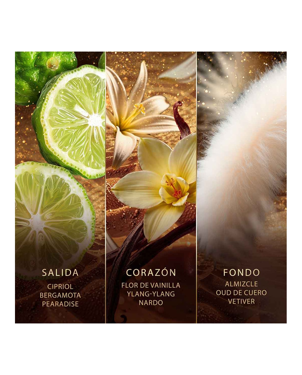 Eau de Parfum Golden Nectar 60 Ml Jawhara - 60 ml 6
