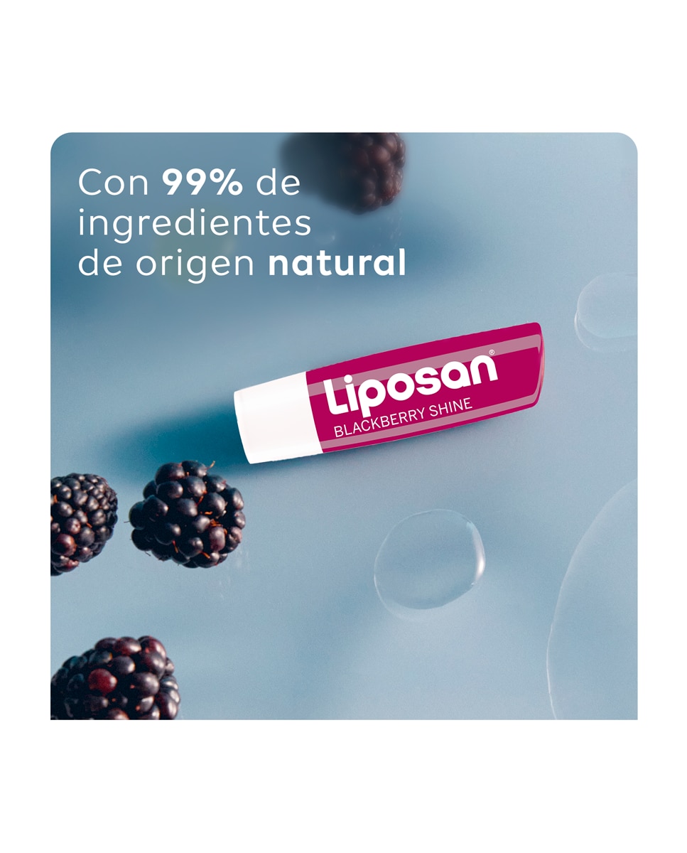 Bálsamo Labial Sabor Mora 4,8 Gr Liposan - 4,8 gr 4