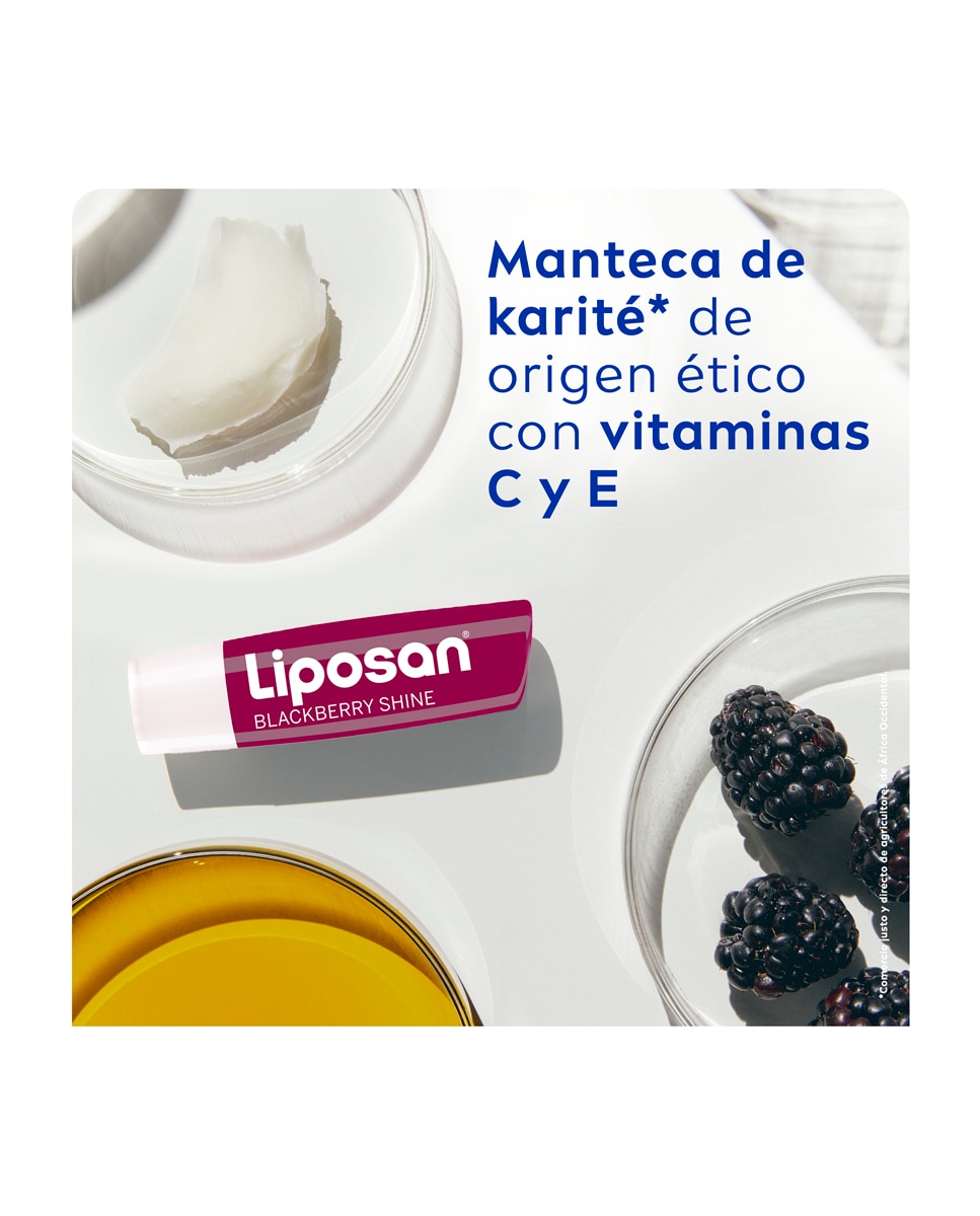 Bálsamo Labial Sabor Mora 4,8 Gr Liposan - 4,8 gr 5