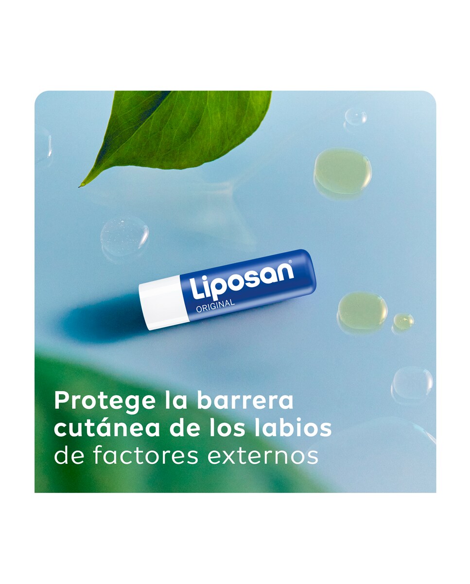 Pack Bálsamo Labial Liposan Original 4,8 g 3