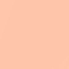 Light Beige N32