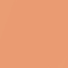 Caramel C85