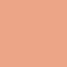 Soft Honey N77