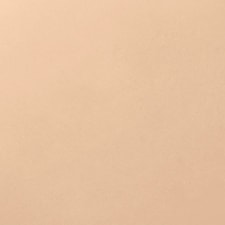 495 - Fair Ivory